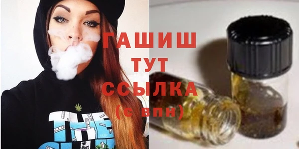 индика Осинники