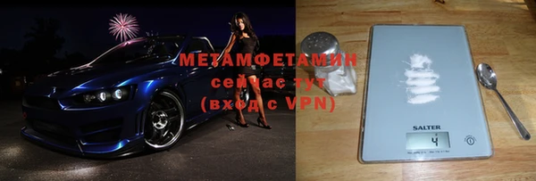 индика Осинники