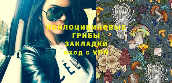 индика Осинники