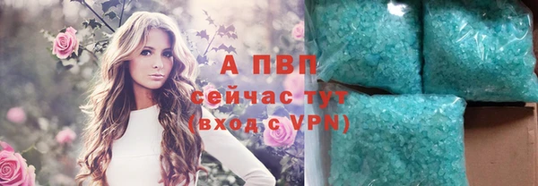 PSILOCYBIN Балабаново